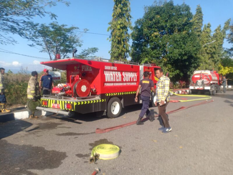 Kebakaran Lahan Dekat Kantor Wali Kota Baubau Kembali Terjadi, Damkar Catat 37 Kasus Selama Musim Kemarau, Sorawolio Paling Banyak 2 Kebakaran Lahan Dekat Kantor Wali Kota Baubau Kembali Terjadi, Damkar Catat 37 Kasus Selama Musim Kemarau, Sorawolio Paling Banyak