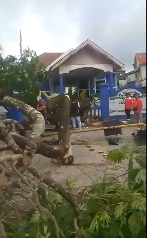 Cuaca Ekstrim di Baubau, Pohon Besar Tumbang di Depan Kantor PDAM Buton 2 pohon tumbang di depan Kantor PDAM Buton