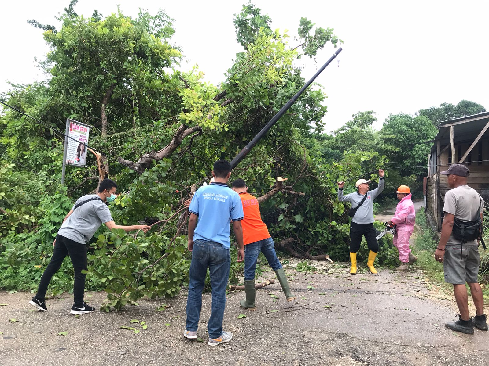 Sejumlah anggota Satgas BPBD Baubau saat melakukan pembersihan pohon tumbang diwilayah Kelurahan Katobengke