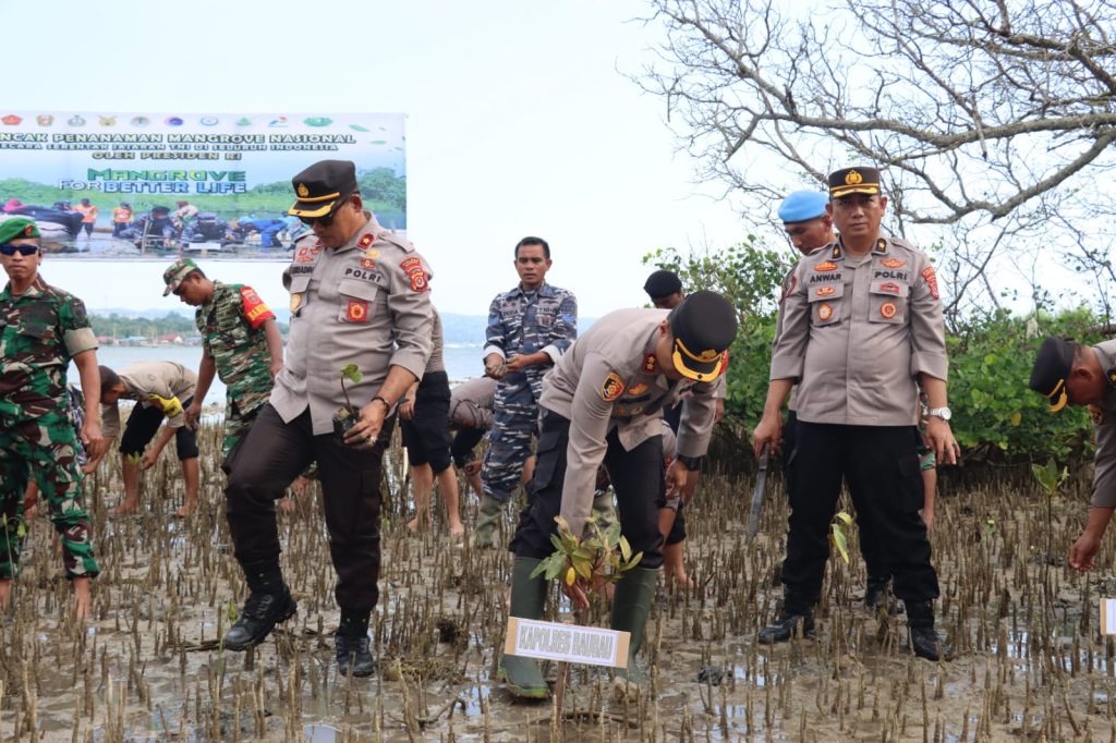 Sinergitas TNI - Polri Menanam Pohon Mangrove Di Pesisir Pantai Secara Serentak Di Seluruh Indonesia 2 F08.1 Sinergisitas