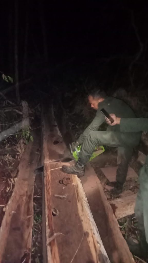 KSDA Buton Utara II Kembali Gagalkan Ilegal Logging Jenis Kayu Besi di Desa La Uki dan Langsung Dimusnahkan 2 F01.5C
