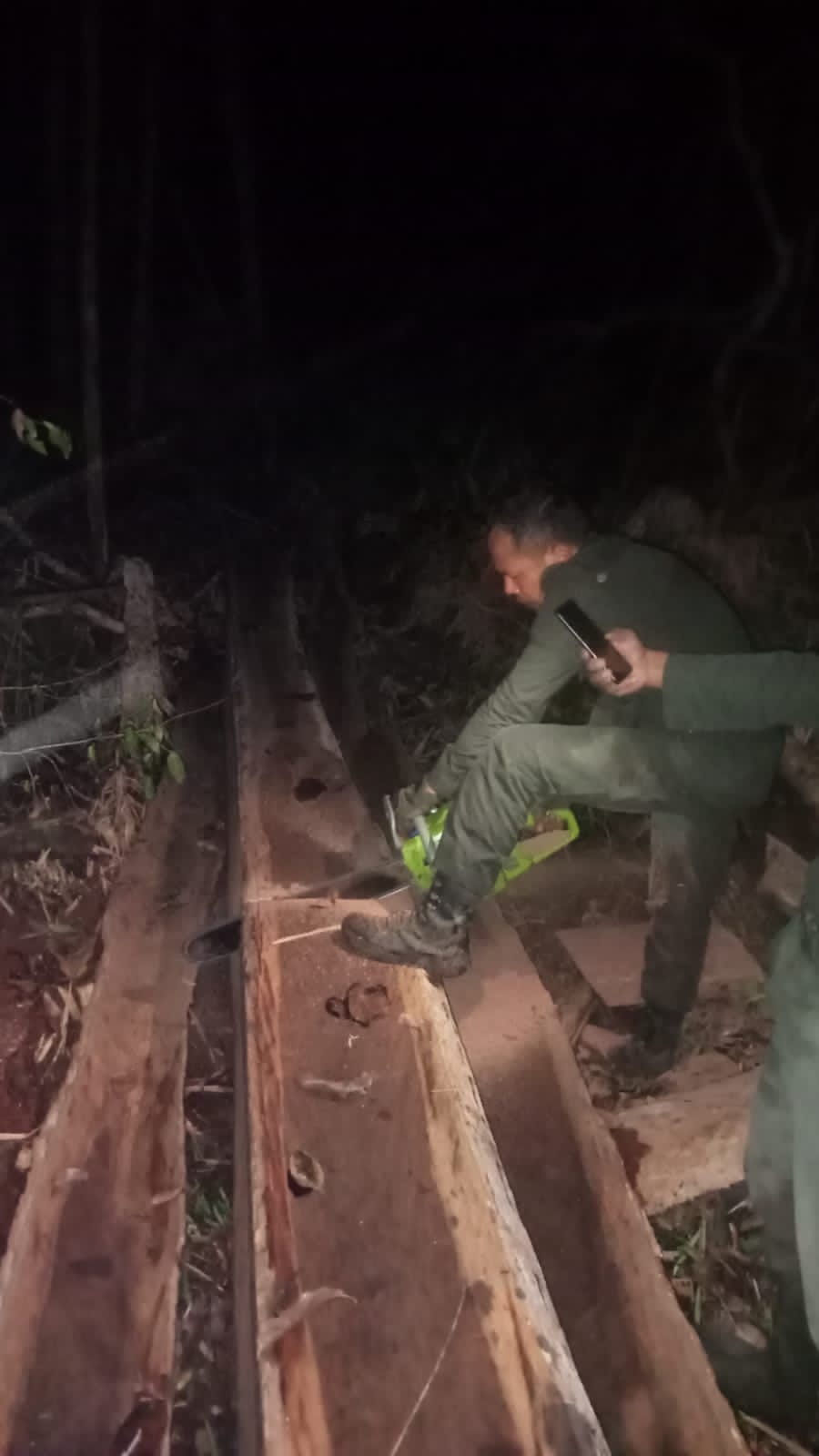 KSDA Buton Utara II Kembali Gagalkan Ilegal Logging Jenis Kayu Besi di Desa La Uki dan Langsung Dimusnahkan 1 F01.5C