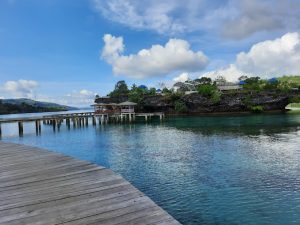 Enam Unit Bus Wisata Gratis Yang Disediakan Dishub Baubau Akan Dilepas Walikota H Yusran Beroperasi 2-3 April 2025 Layani Wisatawan 4 Kawasan Wisata Batusori di Kota Baubau
