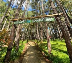Enam Unit Bus Wisata Gratis Yang Disediakan Dishub Baubau Akan Dilepas Walikota H Yusran Beroperasi 2-3 April 2025 Layani Wisatawan 6 Kawasan Wisata Hutan Pinus Samparona di Kota Baubau