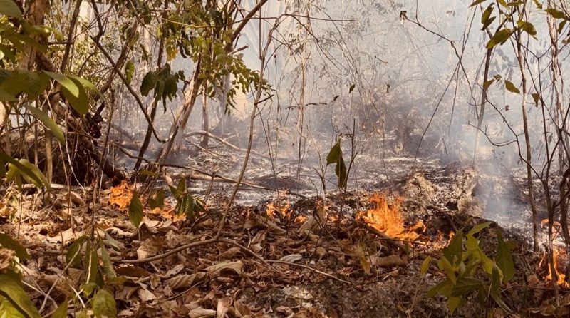 Tiga Titik Api Kembali Muncul di Bukit Wantiro Baubau, Tim Gabungan Bergerak, Medan Tebing Jadi Kendala