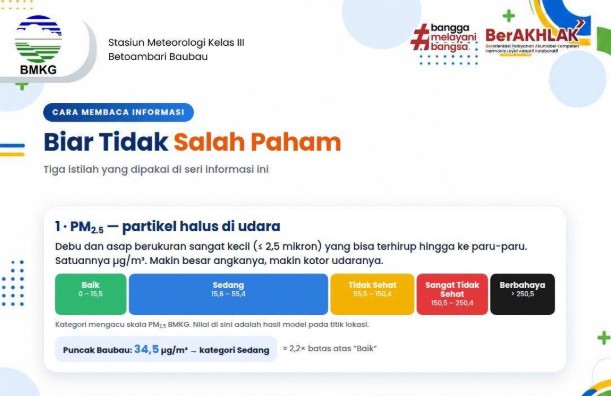 Asap Kebakaran Masuk Baubau, Konsentrasi PM2.5 Sempat Capai 34,5 µg/m³, Pemkot Imbau Warga Pakai Masker dan Tak Bakar Lahan